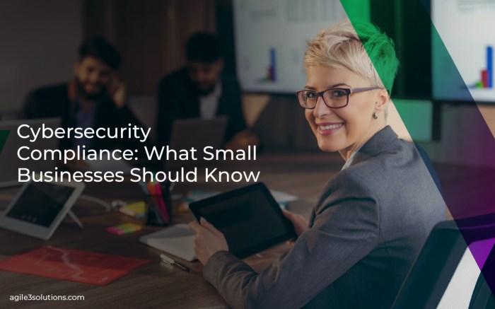 Cybersecurity Compliance: What Small Businesses Should Know