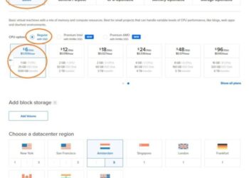 Reserving My Cloud Server with Digital Ocean - Computer Looking Up
