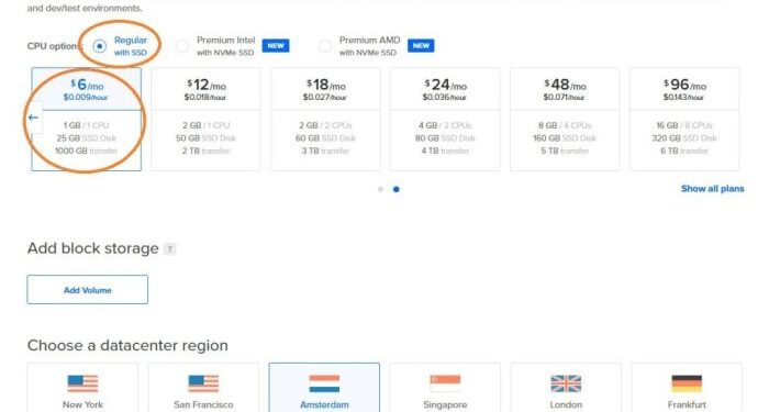 Reserving My Cloud Server with Digital Ocean - Computer Looking Up