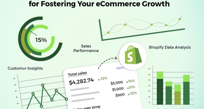 Shopify Analytics - Roadmap to Your eCommerce Business Growth
